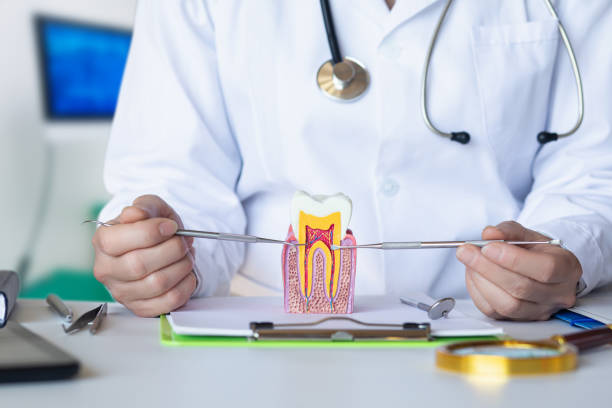 Best Mobile Emergency Dentist in El Dorado, AR